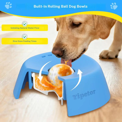 Pupstera Enriching Slow Feeder