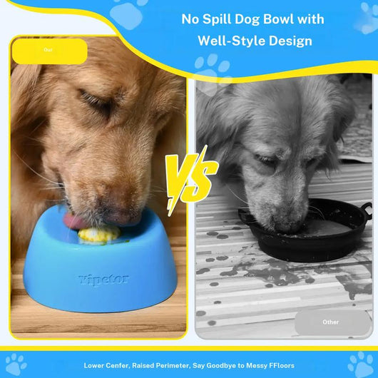 Pupstera Enriching Slow Feeder